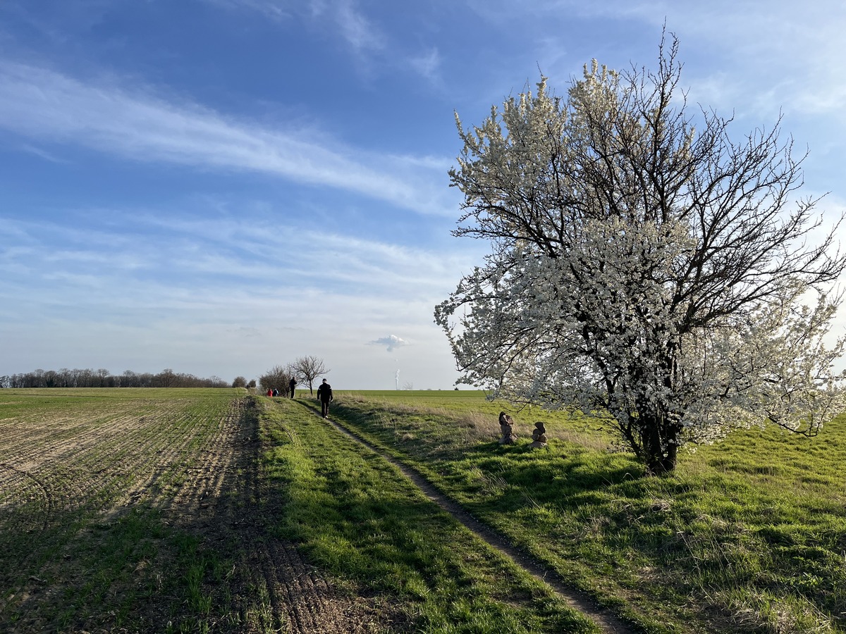 Lutherwanderweg