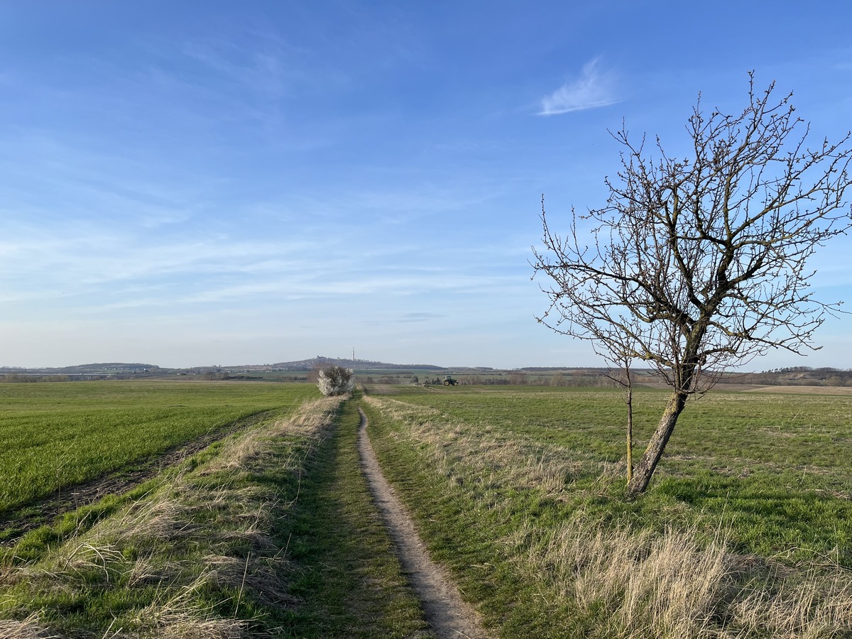 Lutherwanderweg