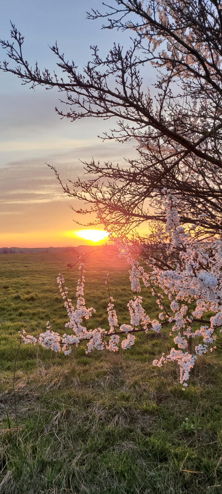 Sonnenuntergang